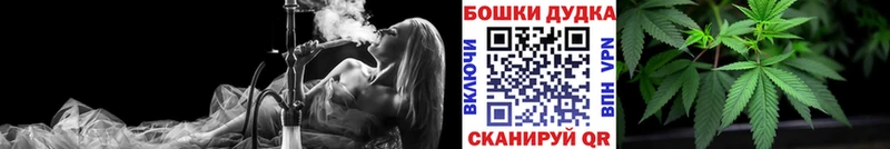 цены   Кочубеевское  Каннабис семена 